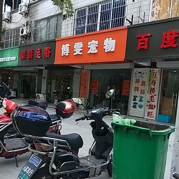 博雯宠物(胜利路店):上海城区青浦区青浦城区附近