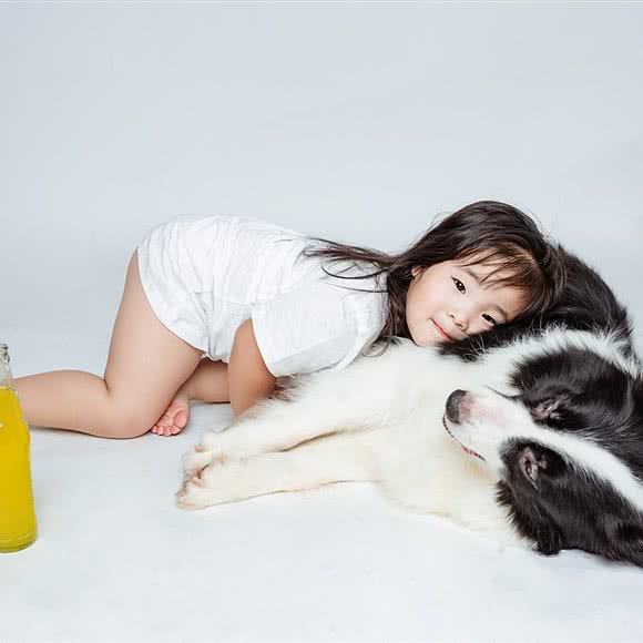 大No宠物摄影:北京城区房山区长阳镇附近