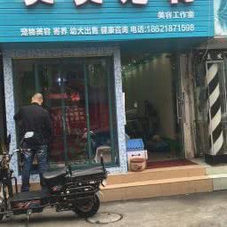 笑笑狗狗:上海城区青浦区青浦城区附近