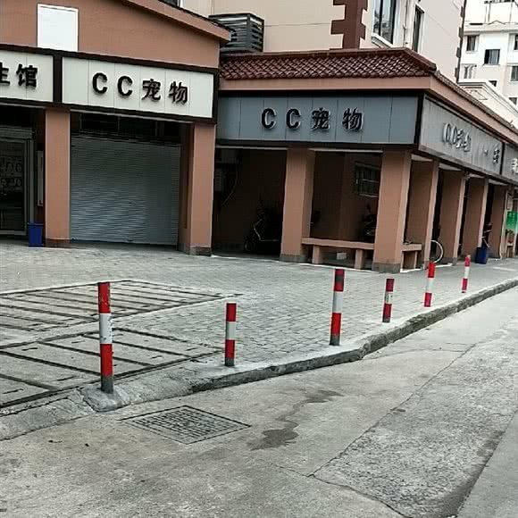 CC宠物店:上海城区青浦区青浦城区附近