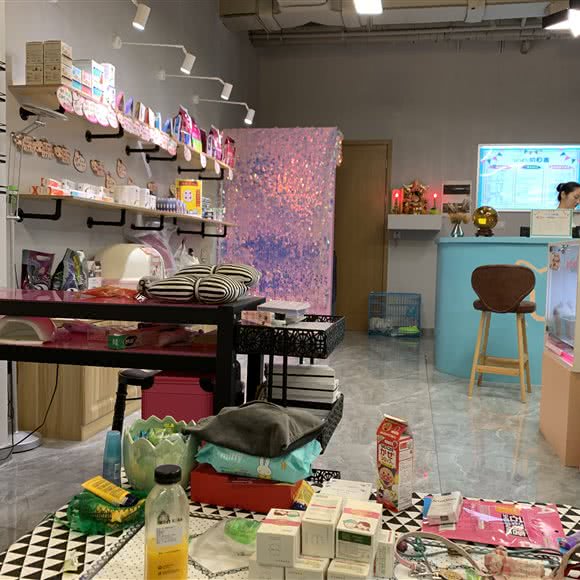 UR私宠毛孩子轻奢私定:上海城区青浦区青浦城区附近