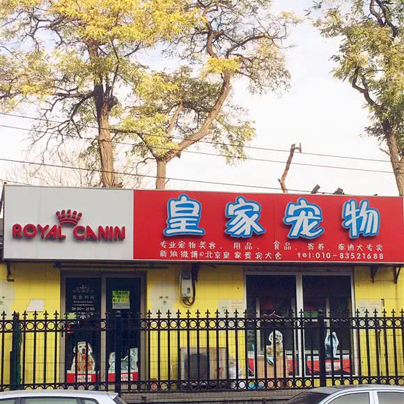 皇家宠物:北京城区西城区菜市口/陶然亭附近