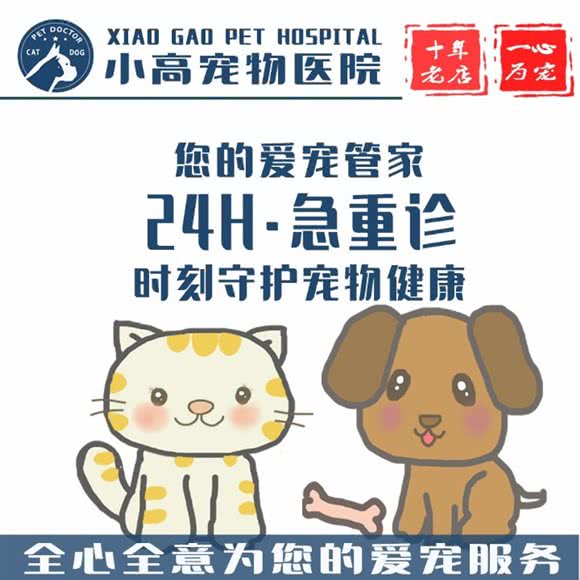 小高宠物骨科医院:上海城区青浦区徐泾附近