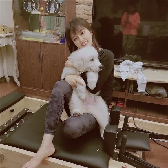 一颗豆子の别墅家庭式宠物寄养:上海城区青浦区赵巷镇附近