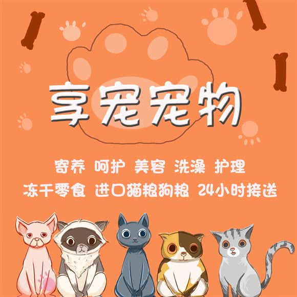 享宠宠物:北京城区房山区长阳镇附近