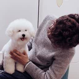 上海贝格多宠物诊所:上海城区青浦区重固镇附近