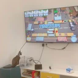 棋趴喵宠物生活馆:上海城区奉贤区海湾旅游区附近