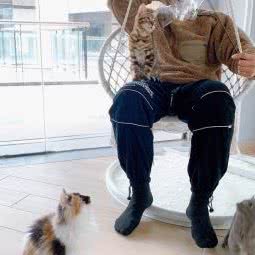 PetsPub萌宠体验馆:上海城区奉贤区南桥附近