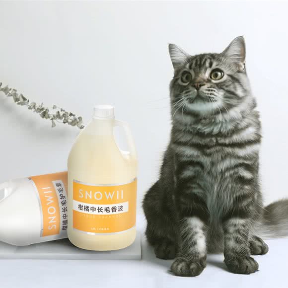 PETKIT小佩宠物(金海湖店):上海城区奉贤区南桥附近