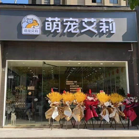 萌宠艾莉（卓越世纪中心）(百富路店):上海城区奉贤区南桥附近