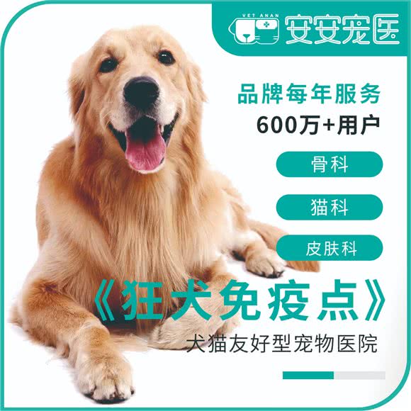 安安宠医狂犬免疫点(古华路分院):上海城区奉贤区南桥附近