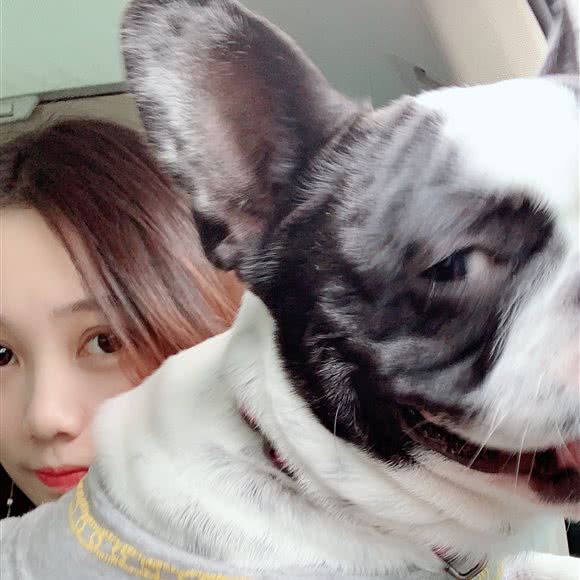 上海佰宝宠物中心:上海城区奉贤区易买得附近