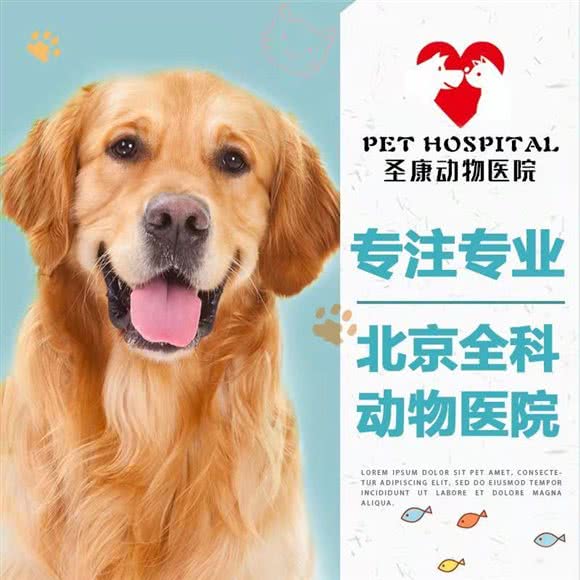 圣康动物医院:北京城区房山区长阳镇附近