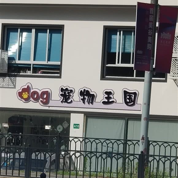 dog宠物王国:上海城区奉贤区西渡镇附近