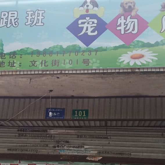 小跟班宠物店:上海城区奉贤区奉城镇附近