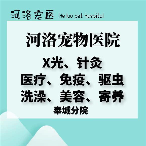河洛宠物医院(奉城分院):上海城区奉贤区奉城镇附近