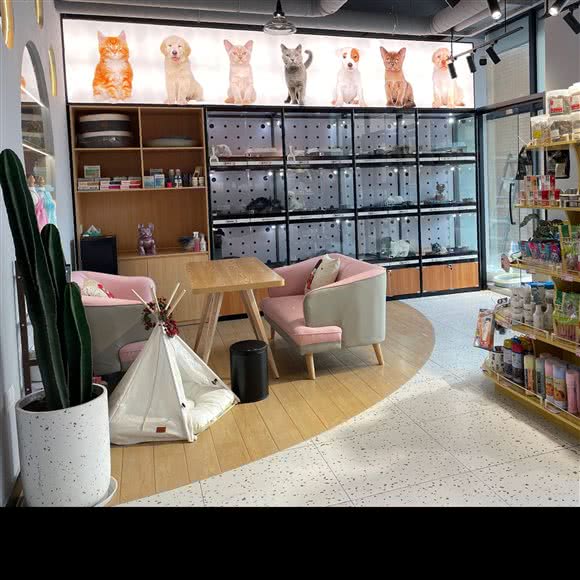 宠物的宠物店:上海城区奉贤区金汇镇附近