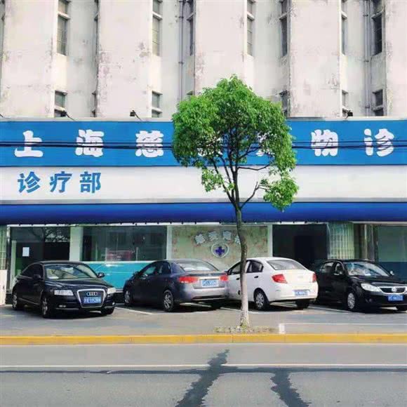 南京慈爱宠物医院:上海城区崇明区堡镇附近