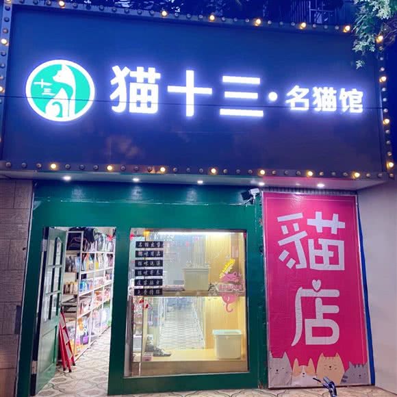 猫十三·名猫馆(洪武北路店):南京市玄武区珠江路沿线附近