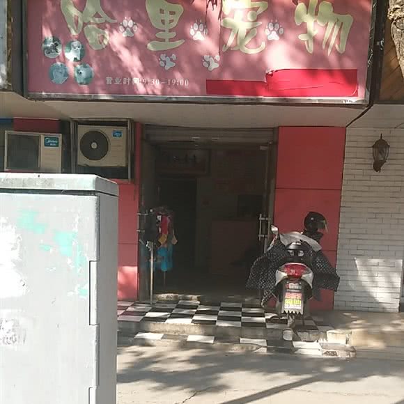 哈里宠物:南京市玄武区珠江路沿线附近