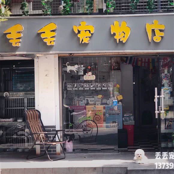 丢丢宠物店:南京市玄武区珠江路沿线附近