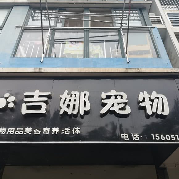 吉娜狗狗:南京市玄武区营苑北路/墨香路附近