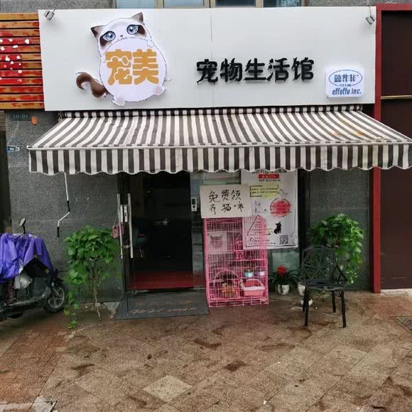 宠美宠物生活馆(迈皋桥店):南京市玄武区红山动物园/火车站附近