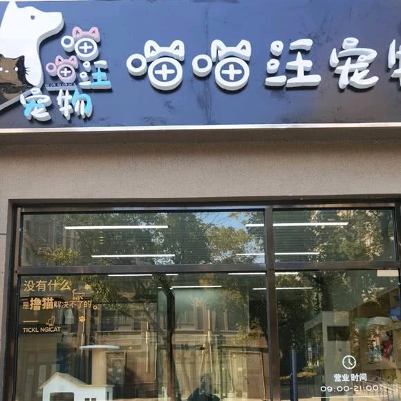 喵喵汪宠物自助撸猫(万谷慧店):南京市玄武区红山动物园/火车站附近