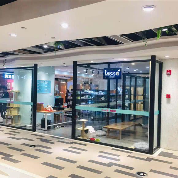 Miss 喵名猫馆(新百店):南京市秦淮区新街口地区附近