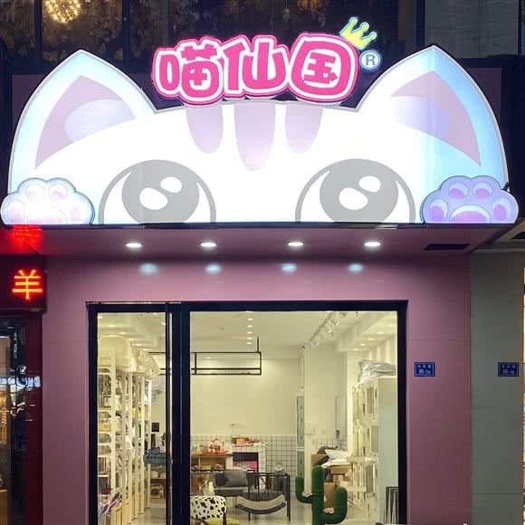 喵仙国精品猫舍:南京市秦淮区新街口地区附近