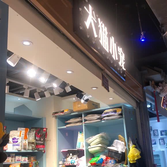 犬猫小宠:南京市秦淮区新街口地区附近