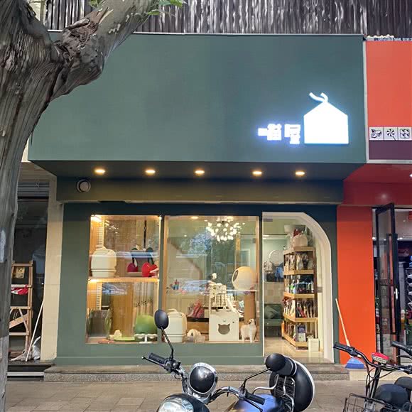 喵屋名猫馆:南京市秦淮区新街口地区附近
