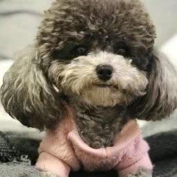 龙龙喵宠物生活馆:南京市秦淮区瑞金路沿线附近