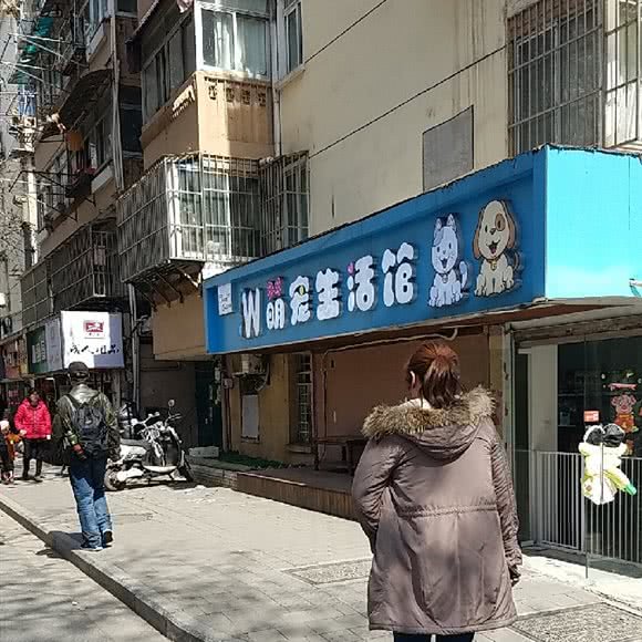 w萌宠生活馆:南京市秦淮区瑞金路沿线附近