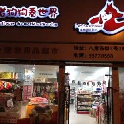 带着狗狗看世界:南京市秦淮区瑞金路沿线附近