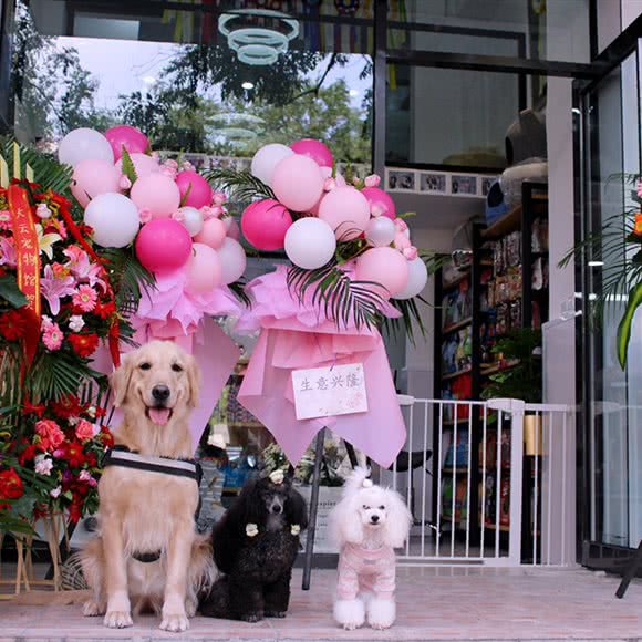 夏日乐悠悠:南京市秦淮区升州路/集庆路附近