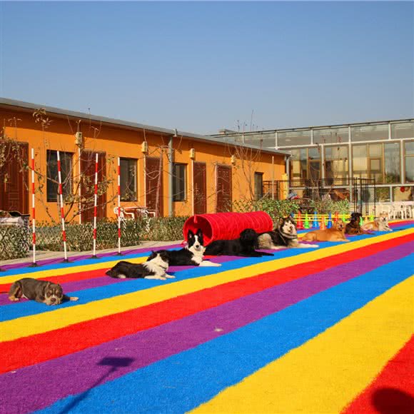 零点道格宠物(寄养训犬美容狗学校):北京城区房山区良乡附近