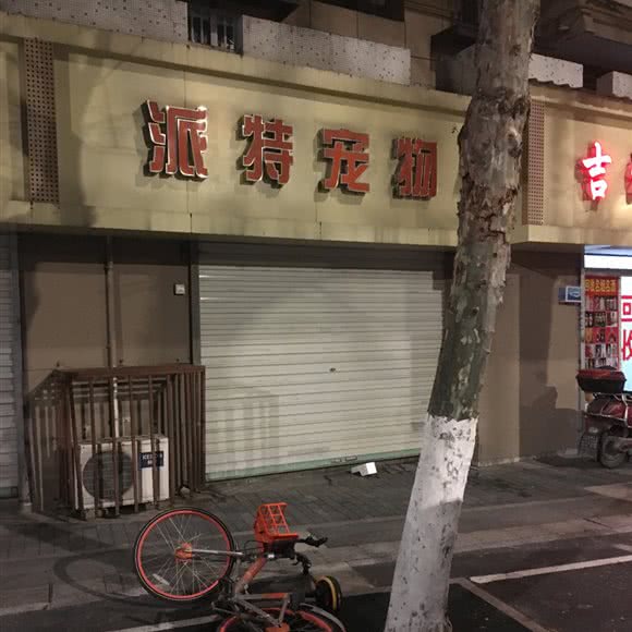 派特宠物:南京市秦淮区秦虹村/中华门附近