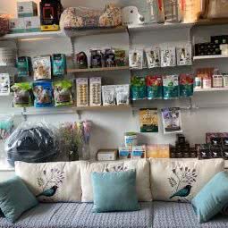 福丸  宠物&摄影:南京市建邺区建邺万达附近