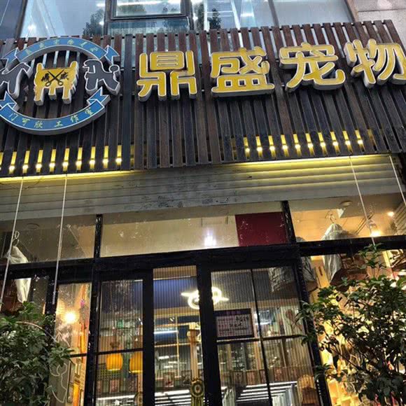 鼎盛宠物:南京市建邺区奥体中心附近