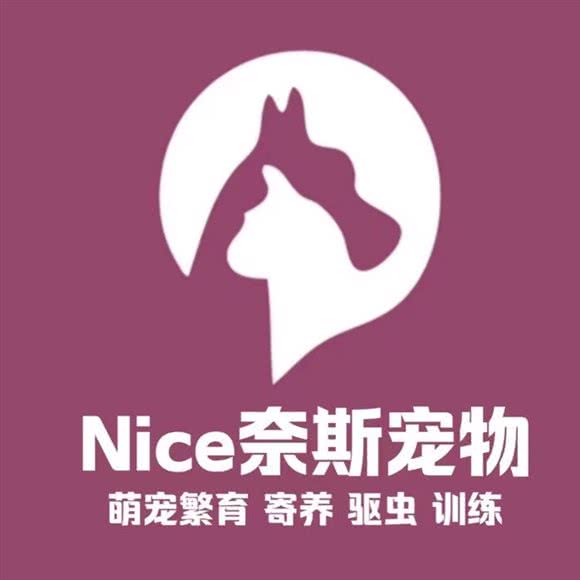 NICE奈斯·宠物活体售卖:北京城区朝阳区国贸/建外附近