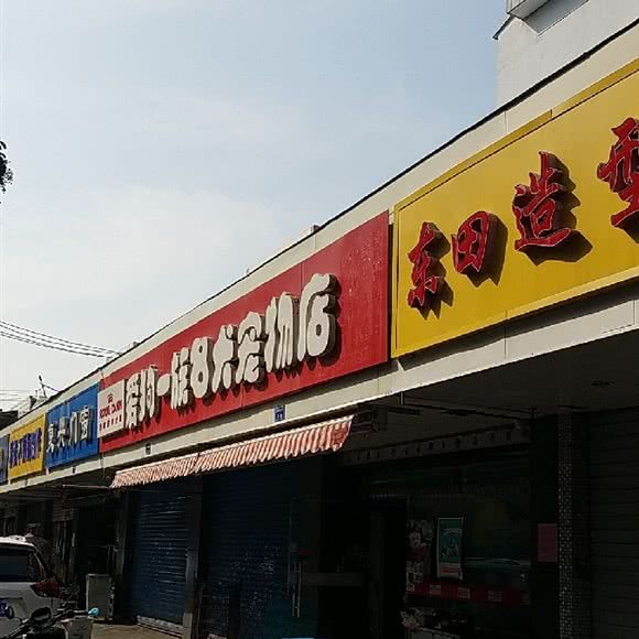 爱猫一族名犬宠物店:南京市建邺区莫愁湖/水西门附近