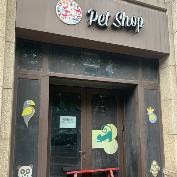 pet shop:南京市建邺区应天大街/文体路附近