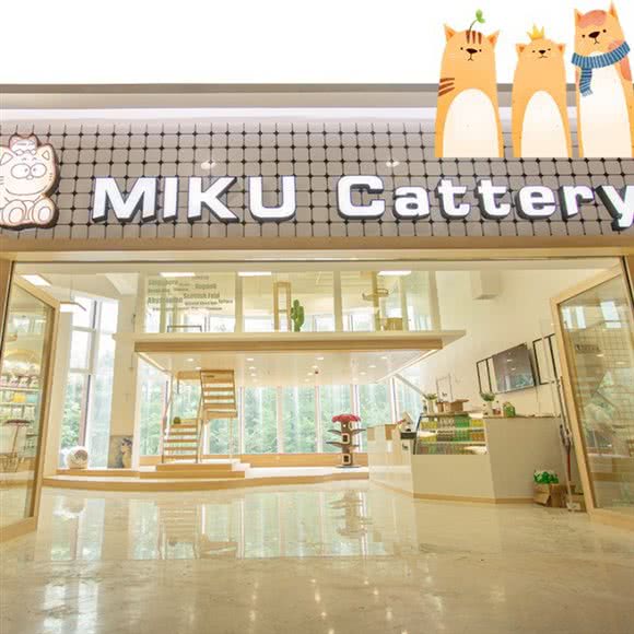 MIKU Cattery咪酷猫屋·兔咖:南京市建邺区应天大街/文体路附近