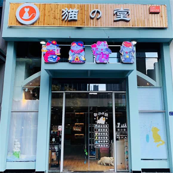狗の堂名猫馆:南京市建邺区集庆门大街附近