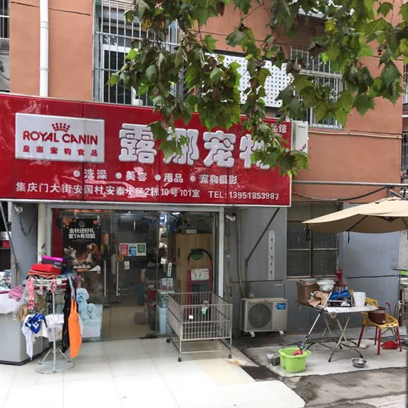 露娜狗狗:南京市建邺区集庆门大街附近