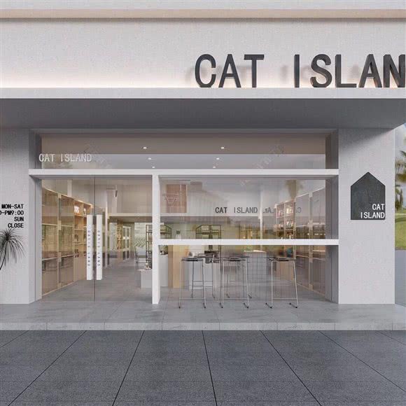 CAT ISLAND猫殿 精品宠物猫活体售卖:南京市建邺区集庆门大街附近