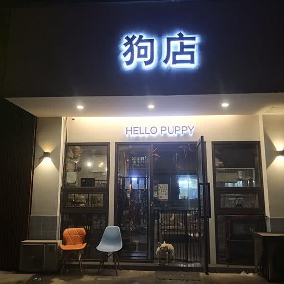 狗店hellopuppy:南京市建邺区西善桥/油坊桥附近