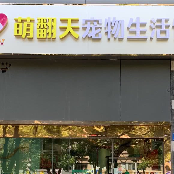 萌翻天宠物生活馆:南京市建邺区中央商场/嘉业国际附近