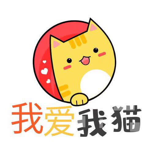 我爱我猫名猫馆:南京市鼓楼区山西路/湖南路附近